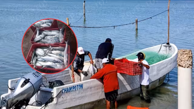 La captura se logró a más de diez millas mar adentro, cerca de Sabancuy.