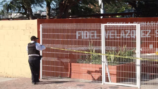 Se robaron cables de cobre, focos de lámparas y cámaras de seguridad