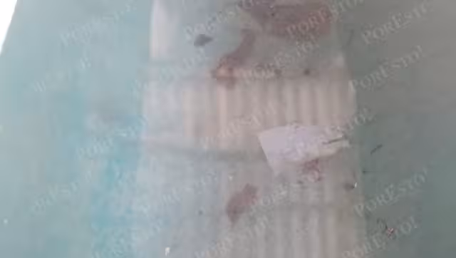 Pobreza obliga a familias a beber agua no purificada en Carmen