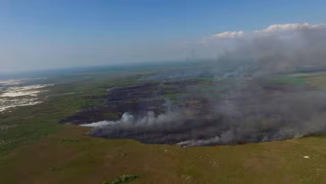 Carmen tiene el mayor número de incidencias con 79 registros
