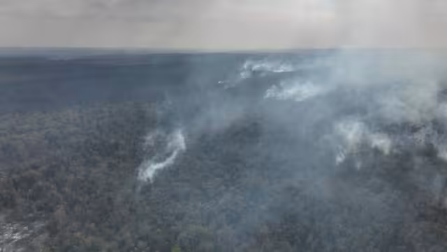 Hopelchén y Carmen han sido los municipios con más registros
