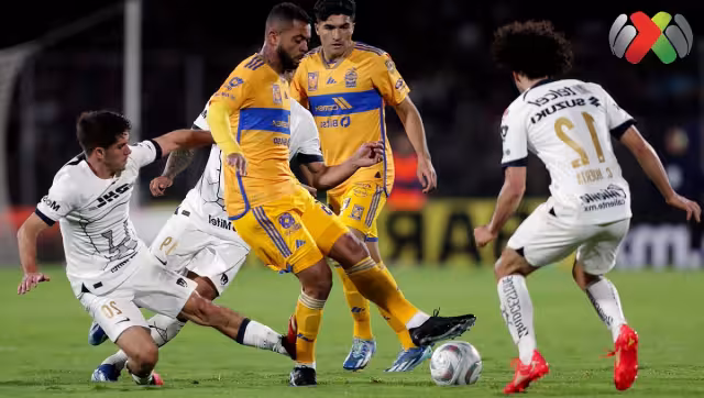 Los Pumas no ganan en el Volcán hace 10 años

