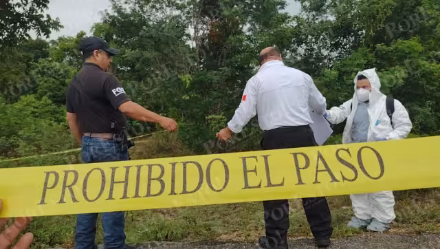 El cuerpo fue hallado cerca de una zona de extracción de madera