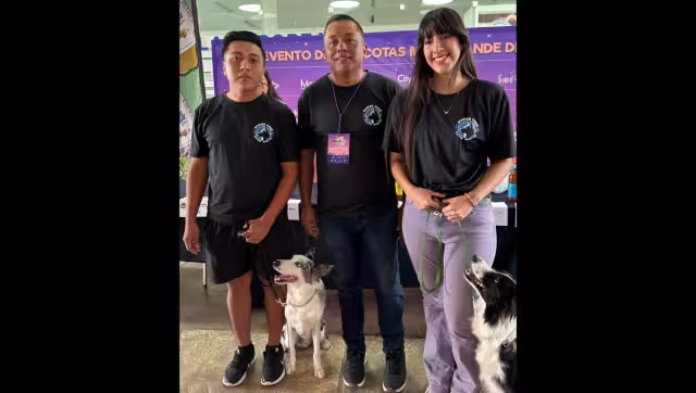 Asimismo, se tendrá la exhibición y competencia de Gallos Azteca o gallos miniatura