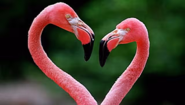 Ambas playas son una buena opción para visitar, es cuestión de gustos para visitar las maravillas