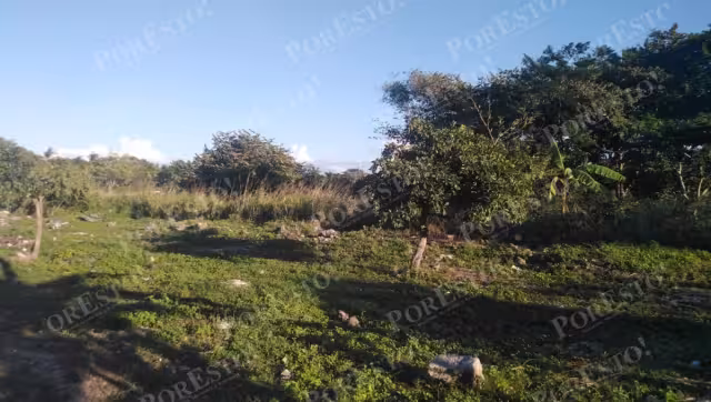 Urgente: comunidad exige nuevo cementerio ante saturación del actual