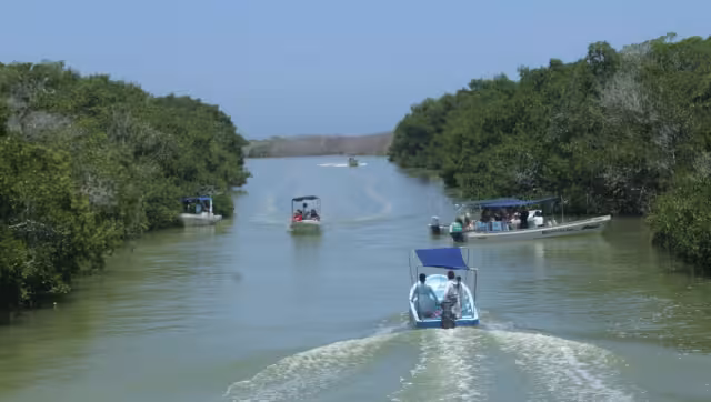 Río Lagartos y las Coloradas ofrecen servicios a visitantes respetando la naturaleza