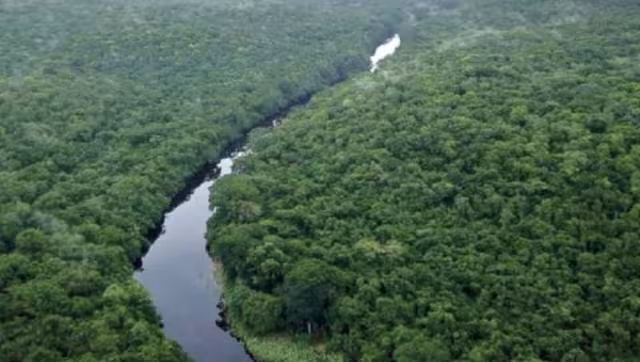 Se obtendrán mayores recursos que permitirán continuar el fortalecimiento de la vigilancia en esas zonas