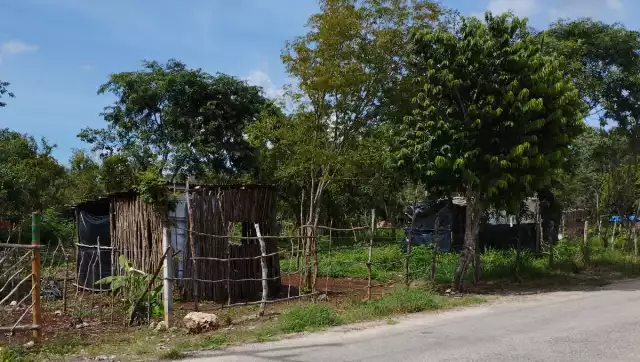 Se ofrecen trámites para regularizar terrenos en Yucatán