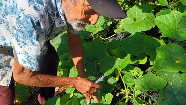 La preocupación por parte de los que aún se mantienen de pie en esta actividad y tratan de rescatarla de manera tradicional