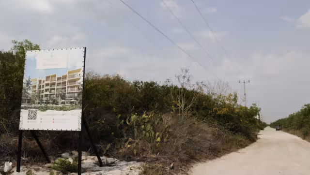 Tras un velo tendido por la idealización publicitaria, se esconden tierras que no cuentan con servicios como agua y 
luz eléctrica,