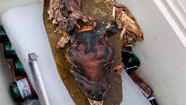 Por este hallazgo clausuraron el puesto de comida