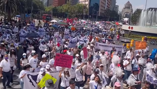 El el Diario Oficial de la Federación se publicó el decreto que extingue 13 fideicomisos del Poder Judicial