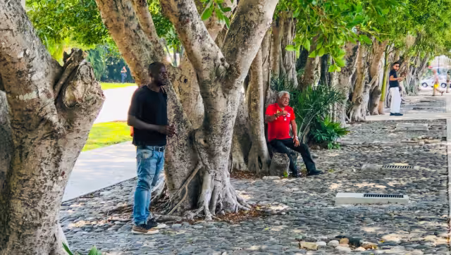 Se ignora el tiempo exacto que lleva en el recinto aéreo cancunense. Recibe alimento o bebida de algunos pasajeros o empleados, y duerme en las áreas verdes o en las bancas