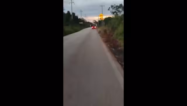 Hasta el momento se desconoce la identidad del conductor y su estado de salud