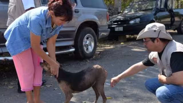 La Secretaría de Salud en Yucatán alerta