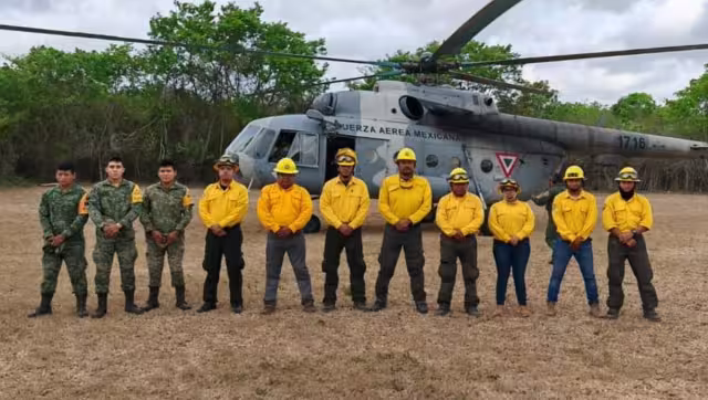 El incendio forestal fue detectado hace 15 días