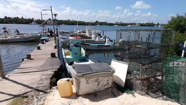 La veda durará 4 meses