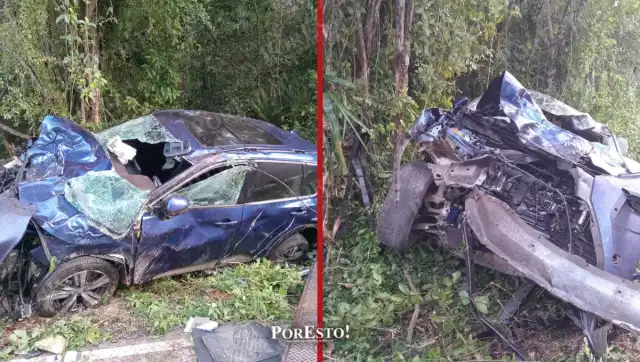 Conductor pierde control y se estrella contra árbol en carretera estatal