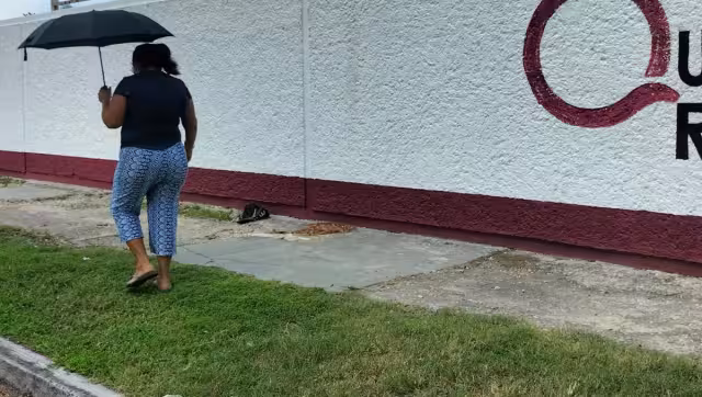 Los restos se convirtieron en un foco de infección frente a una escuela secundaria.