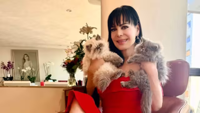 Maribel Guardia ya no es la tutora testamentaria de su nieto, José Julián
