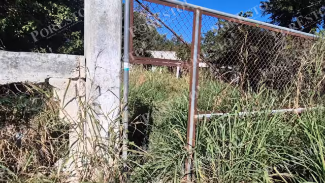 Terreno abandonado genera inseguridad en la colonia Nueva Esperanza, Champotón