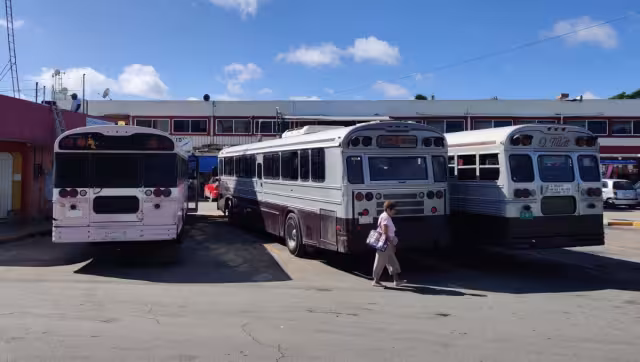 Locatarios del mercado “Lázaro Cárdenas” reportaron hasta un 60% de incremento en las ventas.