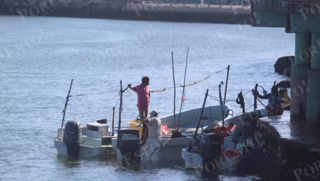 Pescadores regresan con hasta 200 kilos de cojinuda tras mejora en el litoral de Champotón