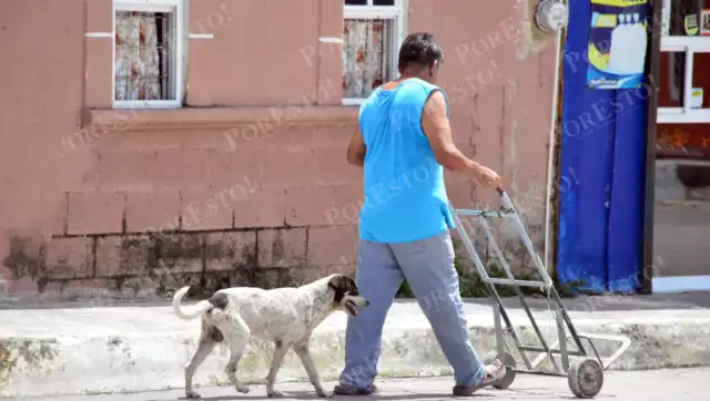 Zoofilia en Campeche: Fiscalía atiende denuncias en Champotón y Escárcega