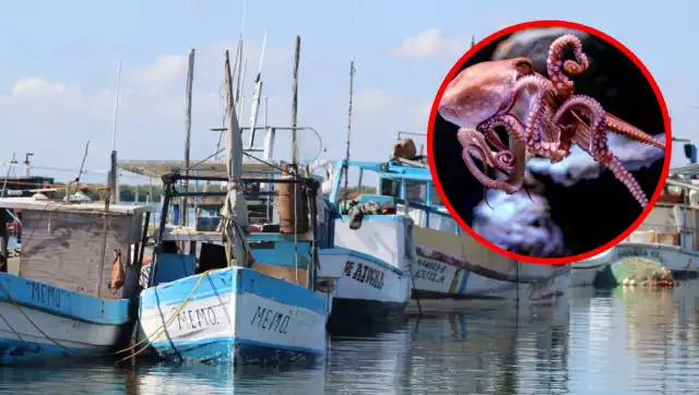 2025 se perfila como una de las mejores temporadas de los últimos ocho años