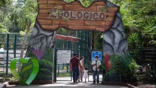El zoológico no abre los días lunes