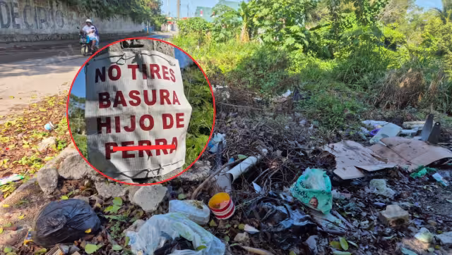 Basura, malos olores y mosquitos: el problema de un lote abandonado en Champotón