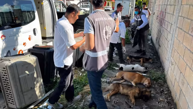 Animalistas piden que actúen pronto las autoridades pues en caso contrario emprenderán acciones para exigir justicia.