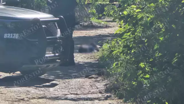 Vecinos reportan detonaciones previas al hallazgo de cuerpo en Playa del Carmen