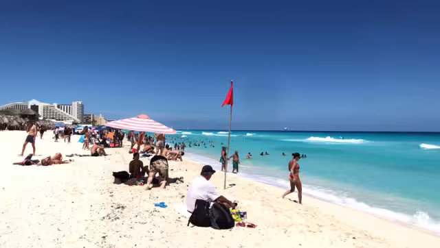 La Profeco da a conocer ciertos puntos a seguir para evitar estafas