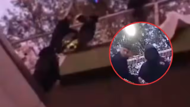 Los policías lograron bajarlo sano y salvo