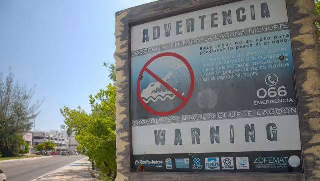 Hay letreros de precaución a lo largo de la laguna, para concientizar a las personas