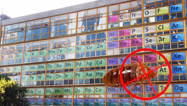 La Facultad de Química de la UNAM llevará a cabo una fumigación por la plaga de chinches que se reportó