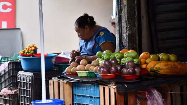 La venta de hortalizas les permite tener una dependencia económica