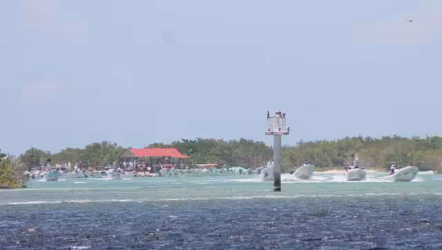Los pescadores vigilan que personas de Dzilam de Bravo, Celestún y Progreso saqueen la langosta