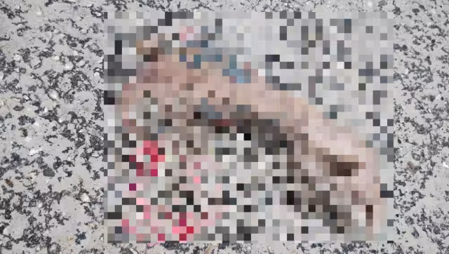 Autoridades descartaron que el brazo tenga relación con hechos criminales