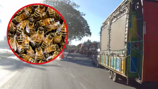 El incidente generó temor entre los pobladores del municipio