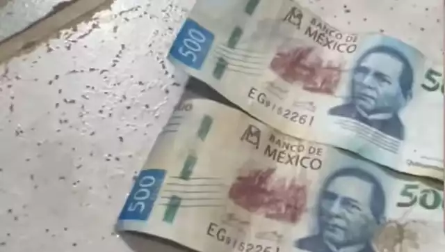 Alertan ciudadanos, circulación de billetes falsos en Chetumal, piden extremar precauciones durante las compras navideñas