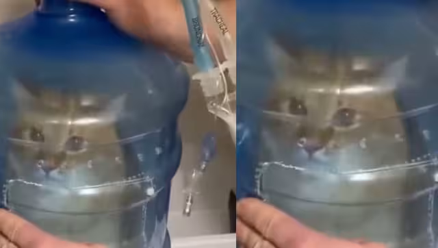 Gatito con asma recibe tratamiento de nebulización con un garrafón y se hace viral