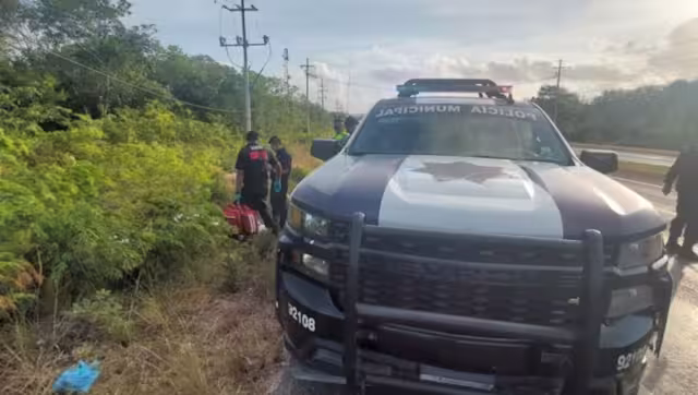 El cadáver fue denunciado por automovilistas que pasaban por la carretera