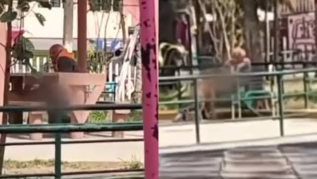 El abuelito llega al parque apoyado de una andadera y abusa de los perros callejeros
