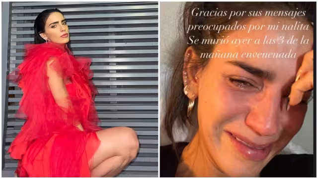 En agosto de este año, Bárbara de Regil anunció la llegada de un integrante más a su familia