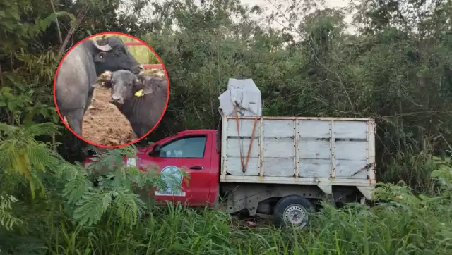 El accidente ocurrió la mañana del miércoles 7 de enero, a la altura de San Pablo Pixtún.