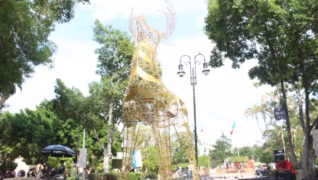 Se informó que se colocaron más de mil piezas navideñas de diferentes diseños y colores