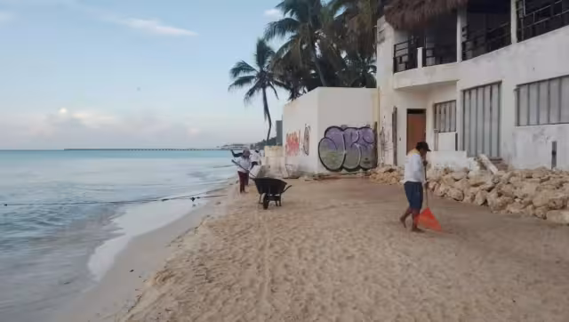 En las administraciones pasadas, junto con el sargazo se llevaban la arena.